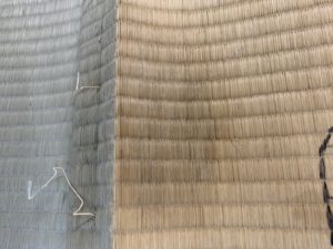 オシッコのシミ