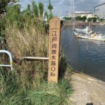 江戸川放水路の起点